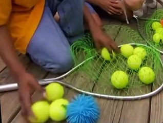 Fetch! with Ruff Ruffman Fetch with Ruff Ruffman S03 E020