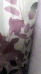 Zonia's House Homestead, FL 2022