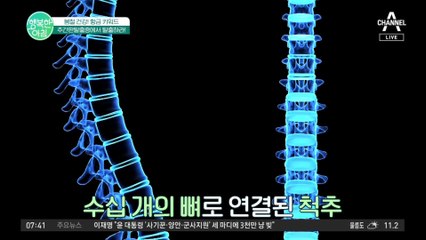 움직임 줄어들면서 걸리는 허리디스크! 자가 진단 후 예방법과 치료법을 알려드립니다