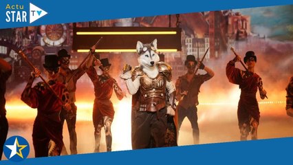 Le husky (Mask Singer 5) dévoile des indices sur son identité : "Je ne suis pas dépourvu d'énergie..