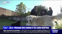 Lille, première ville de France où il fait bon vivre avec son chien d'après 