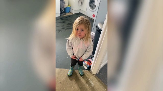 Toddler tries to blame dog after handprints mysteriously appear on newly painted walls.