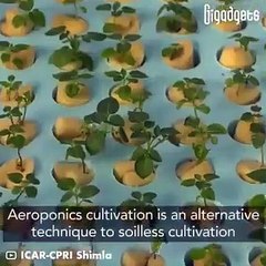 Farming innovation #shorts #viral #shortsvideo #video #innovationhub