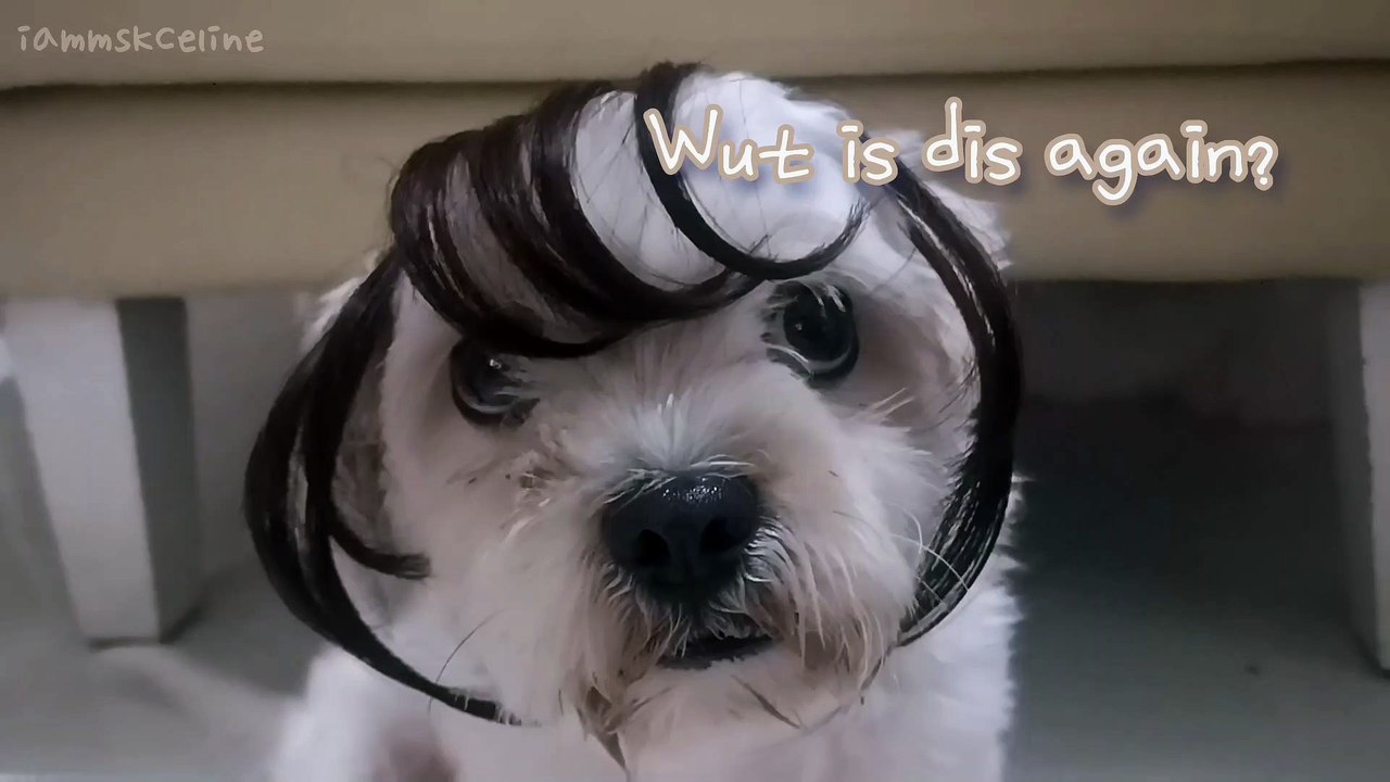 Pwease Send Halps! 