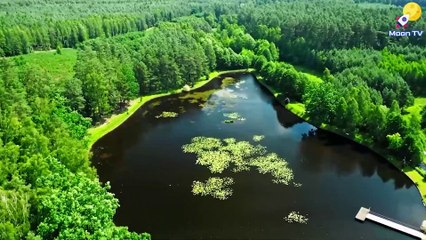 Yoga Meditation Music for Inner Peace and Harmony