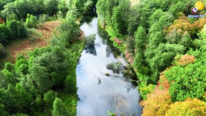 Mindfulness Meditation Music for Relaxing the Body