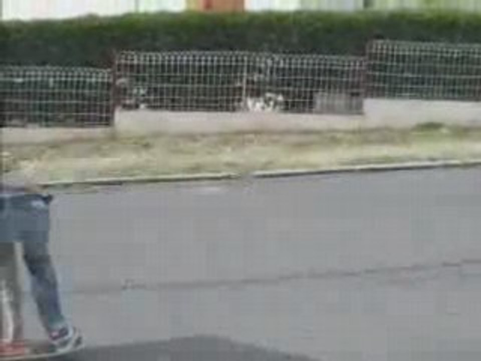Longboard2