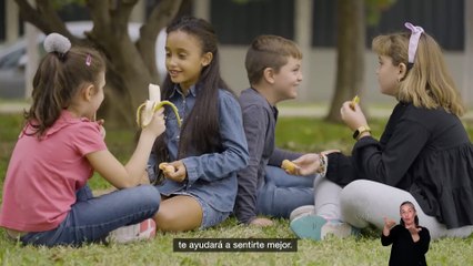 Campaña Estilos de Vida Saludable Castellano