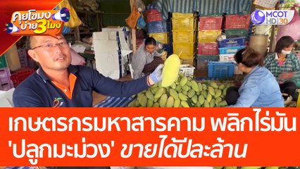 เกษตรกรมหาสารคาม พลิกไร่มัน 'ปลูกมะม่วงพันธุ์ดี' ขายได้ปีละล้าน | คุยโขมงบ่าย 3 โมง