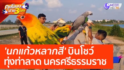 'นกแก้วหลากสี' บินโชว์ทุ่งท่าลาด นครศรีธรรมราช | คุยโขมงบ่าย 3 โมง
