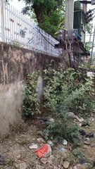 बिजली से लेकर पानी तक चोरी..देखें वीडियो