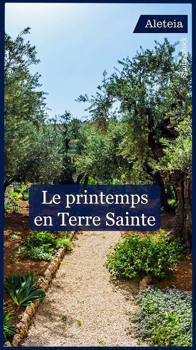 Le printemps en Terre sainte