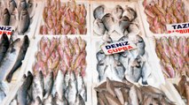 Mersinli balıkçılar: Et fiyatları artınca balığa rağbet arttı
