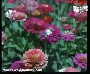 Naam Mara Mashoor /Prem shastra 1974/	Kishore Kumar, Asha Bhosle, Dev Anand, Zeenat Aman