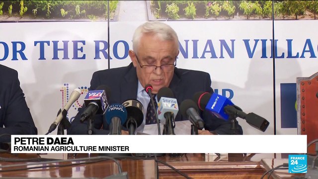 Ukraine faces grain export problems despite resumption of ship inspections