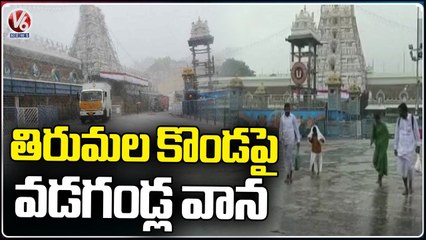 Sudden Change Climate , Hailstorm Rain In Tirumala | V6 News