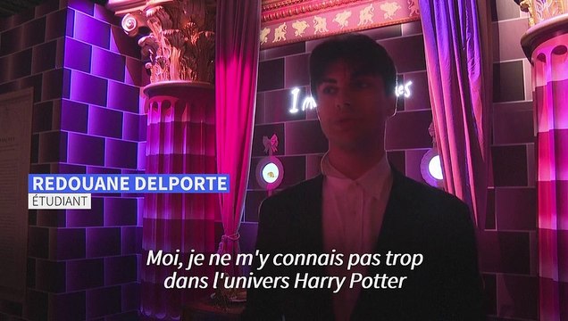 Baguettes et formules magiques: une exposition immersive sur Harry Potter à Paris