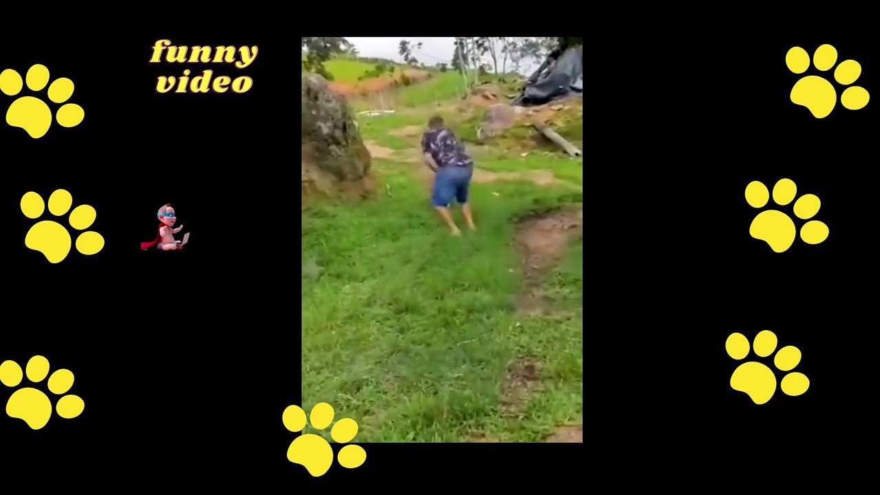 FUNNY DOGS PART 004