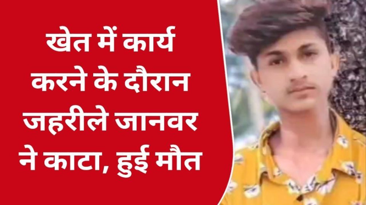 उदयपुर: जहरीले जानवर के काटने से हुई युवक की मौत