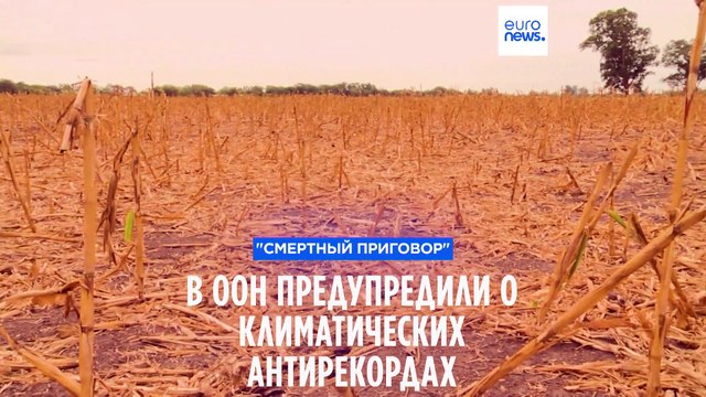 Смертный приговор : в ООН предупредили о климатических антирекордах