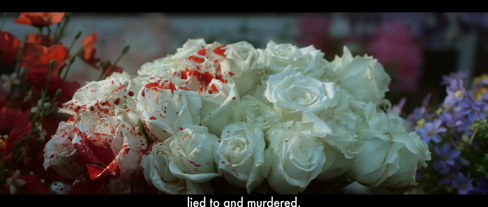 Money Back Guarantee Trailer Vídeo Dailymotion