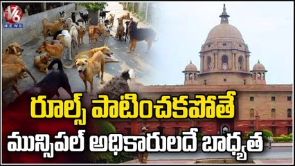 Central Govt Release Guidelines Over Street Dogs Control | V6 News