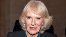 VOICI - Camilla Parker-Bowles critiquée par le prince Harry : son fils Tom vole à son secours !