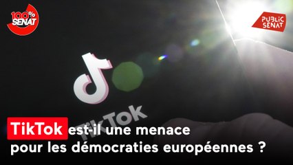 TikTok menace-t-il les démocraties européennes ? Raphaël Glucksmann et Nathalie Loiseau auditionnés
