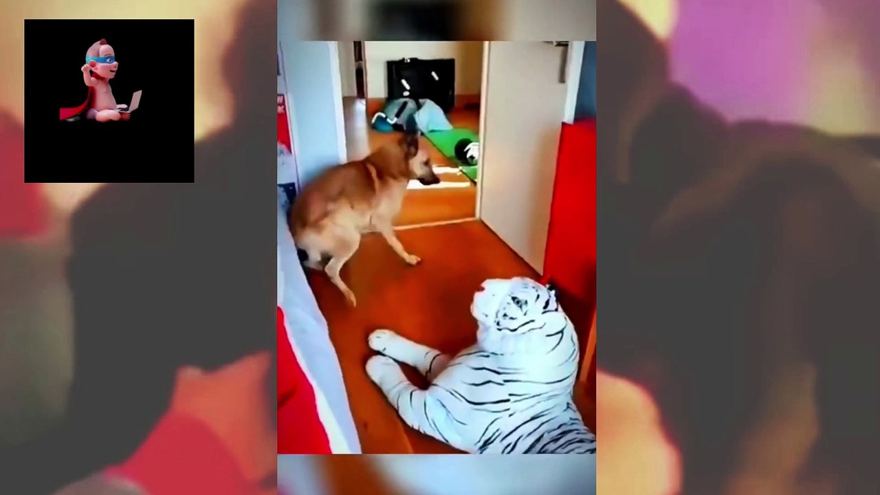 DOGS LOVER PART 11
