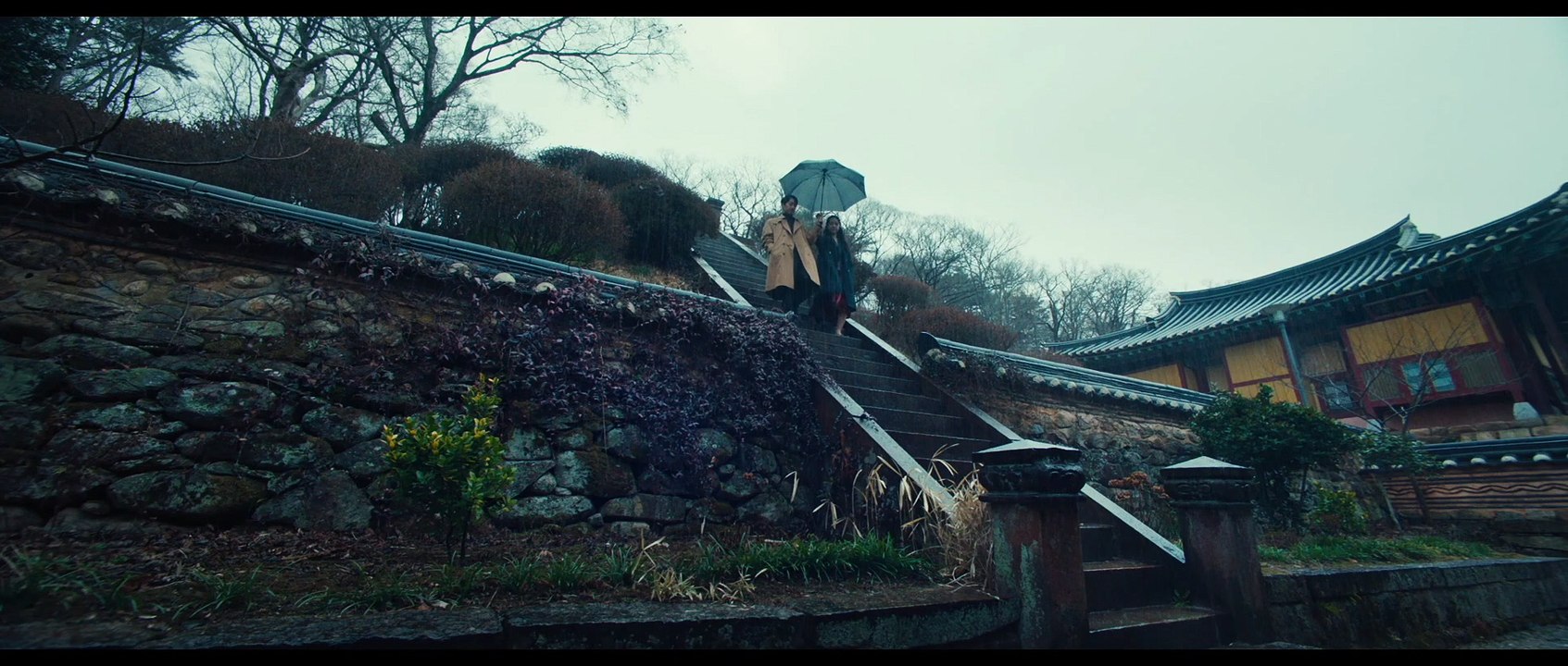 Die Frau im Nebe Film