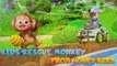 Honey bee attack on Monkey! Kids Cartoons & Songs