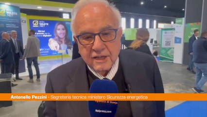 Pezzini "Risorse per aziende energivore che puntano sull'innovazione"