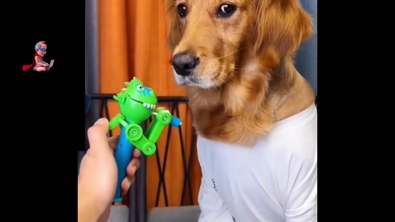 DOGS LOVERS PART 13