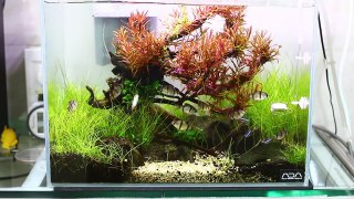 HOW to make DIY Aquarium Filter | 500 Litre Tank Home Aquarium | Sumesh Lekhi
