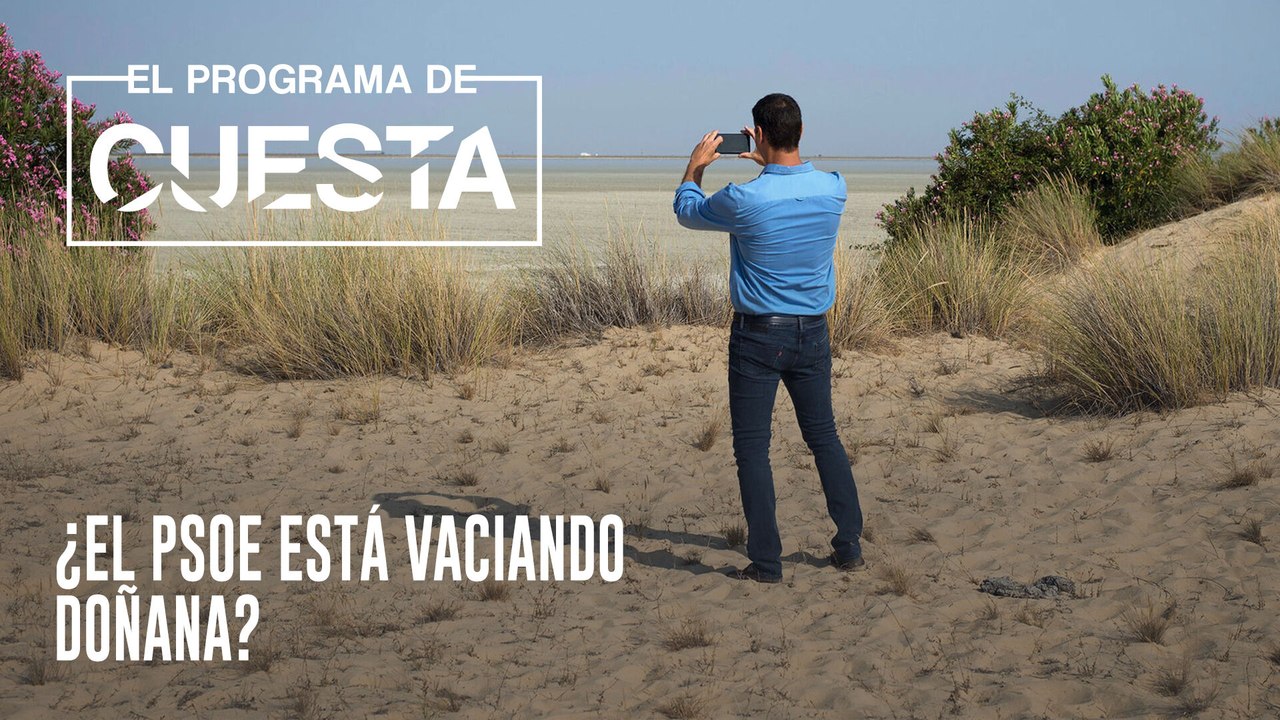 El Programa de Cuesta: ¿El PSOE está vaciando Doñana?