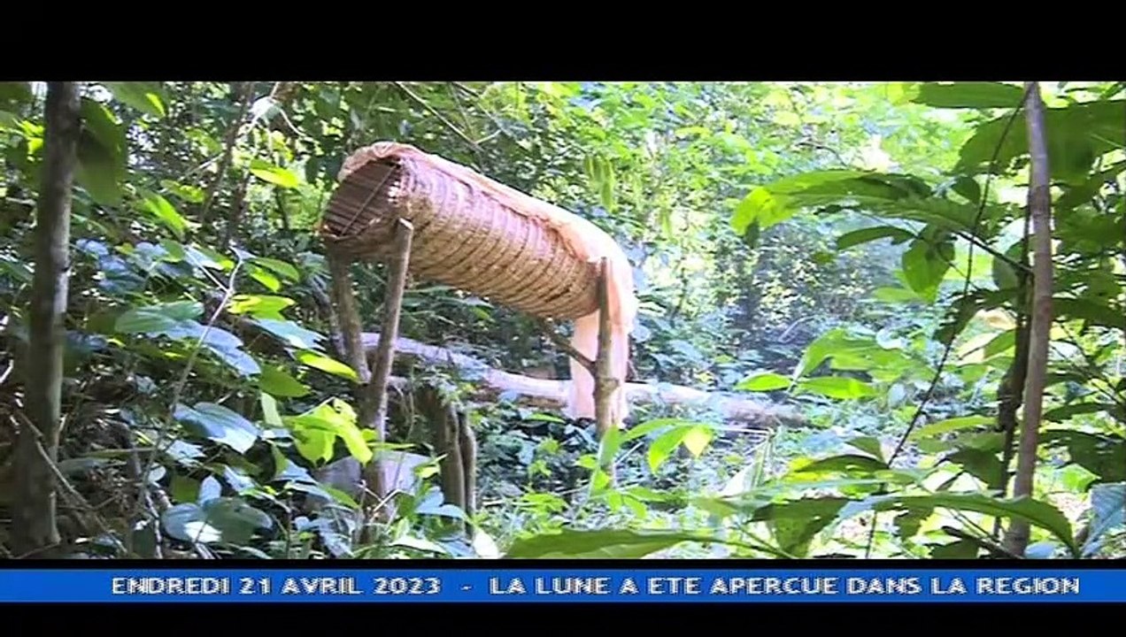 Le Miel  Blanc OKU- Magazine  du 20h du 20 Avril 2023 sur  la CRTV