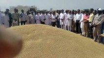 Smile returned on the faces of food providers, government procurement of one thousand quintals of wheat on the first day