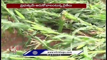 Download Video: Unseasonal Rain, Hailstorm Cause Heavy Damage To Crops In Nizamabad District | V6 News