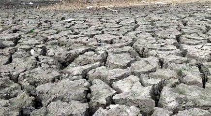 বাঁকুড়ায় তীব্র তাপপ্রবাহে বদলে যাচ্ছে প্রকৃতি 🌡️