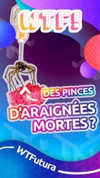 Des araignées mortes transformées en pinces mécaniques : une innovation scientifique surprenante et écologique !