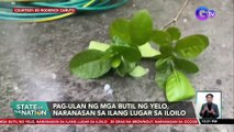 Pag-ulan ng mga butil ng yelo, naranasan sa ilang lugar sa Iloilo | SONA