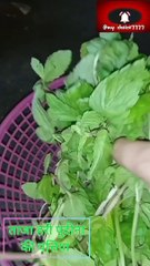 PUDINA POWDER KAISE BANAYE