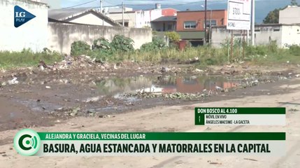 Basura, agua estancada y matorrales en la capital