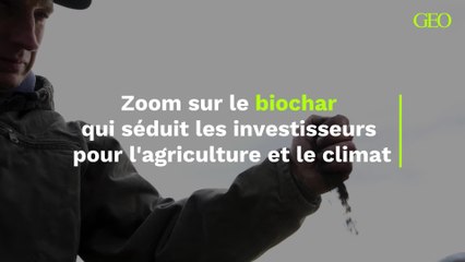 Zoom sur le biochar qui séduit les investisseurs pour l'agriculture et le climat