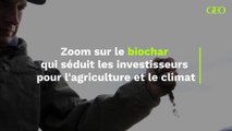 Zoom sur le biochar qui séduit les investisseurs pour l'agriculture et le climat