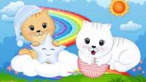 MY CAT LİLY / CAT CARTOON / BEDTİME STORİES