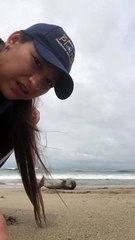 Woman Finally Gets Help Rescuing a Dolphin in Rough Currents