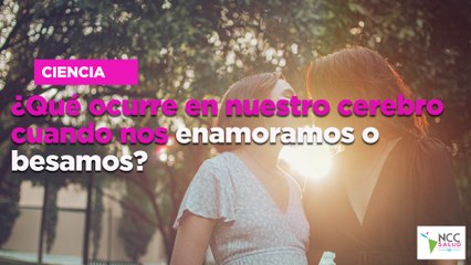 ¿Qué ocurre en nuestro cerebro cuando nos enamoramos o besamos?