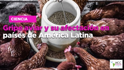 Gripe aviar y su afectación en países de América Latina