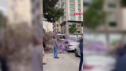 İSTANBUL-KADIKÖY'DE KÖKLERİ ÇÜRÜYEN AĞAÇ, OTOMOBİLLERİN ÜZERİNE DEVRİLDİ